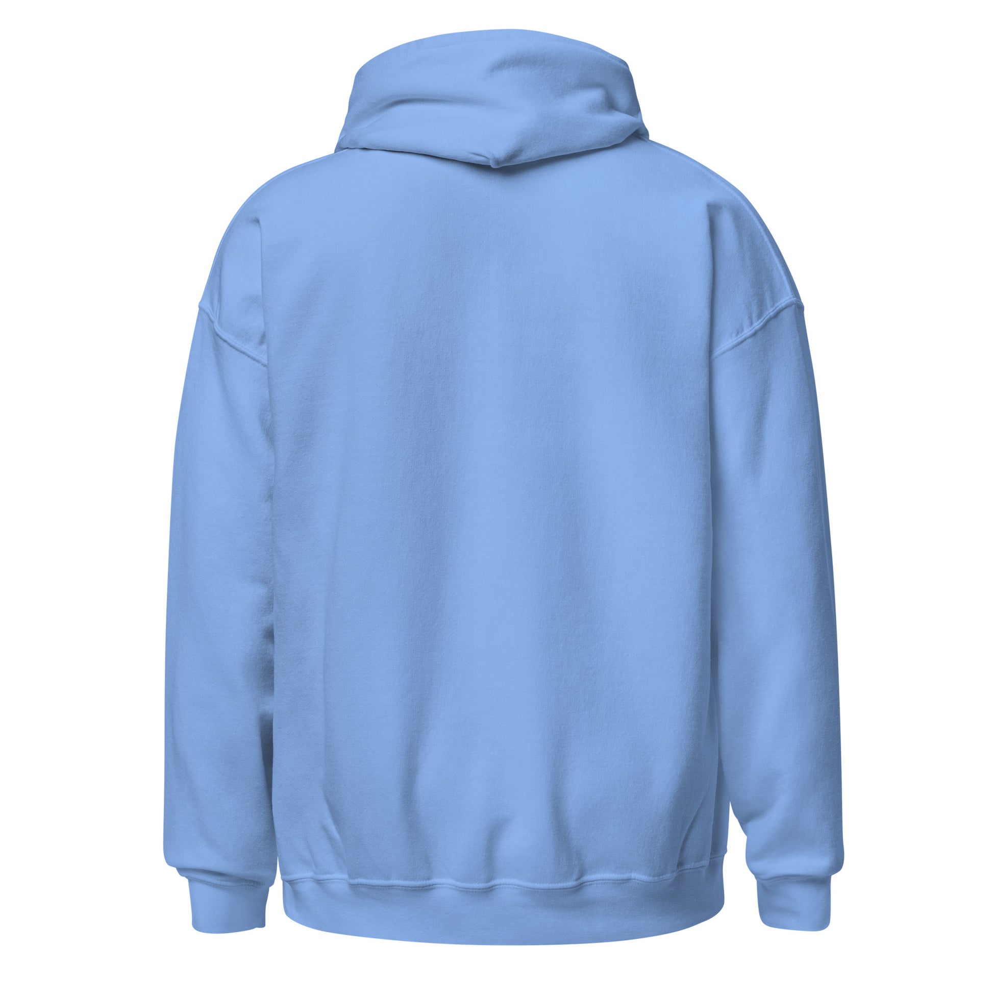 SMoLKINE Classic Little Things Hoodie in Carolina Blue, back view