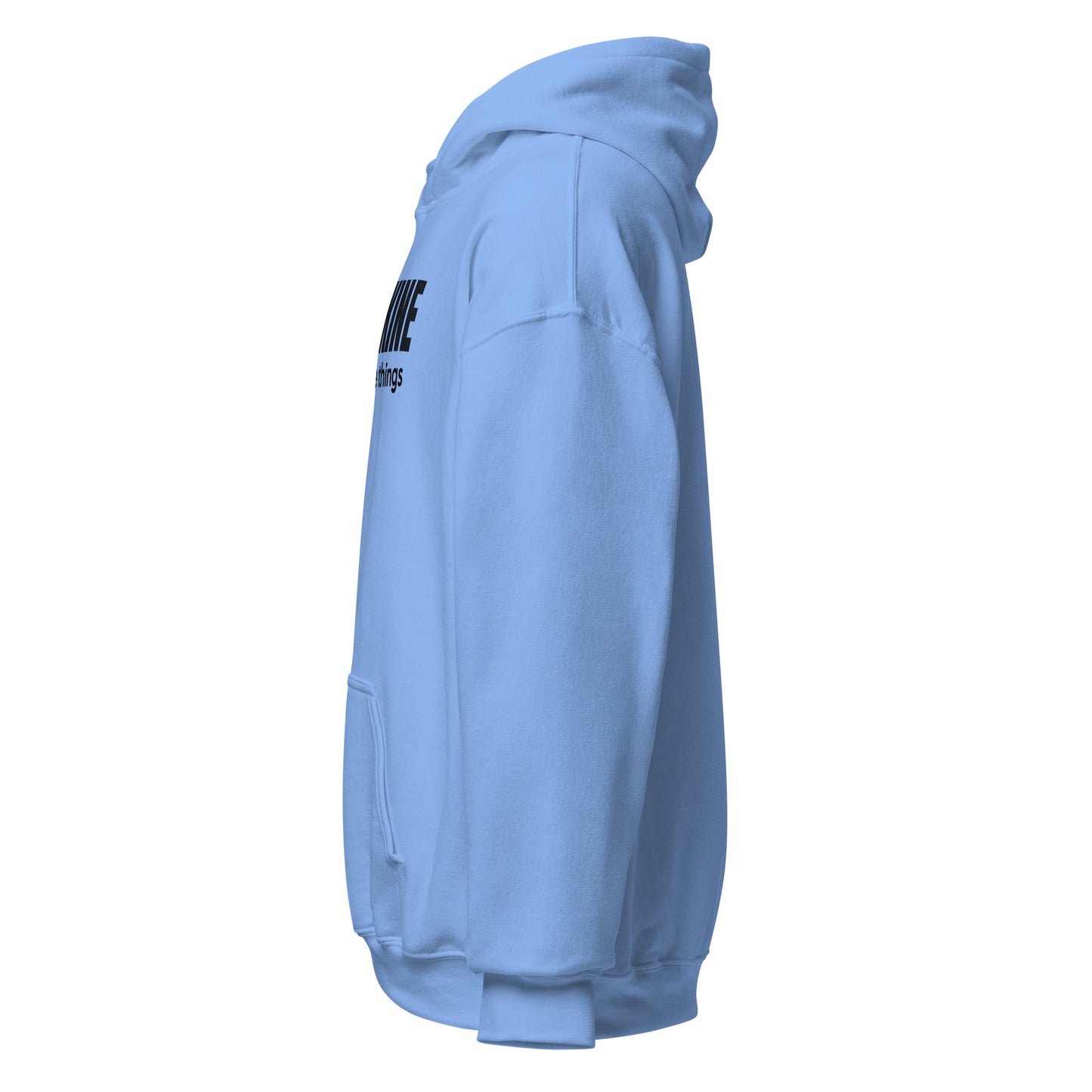 SMoLKINE Classic Little Things Hoodie in Carolina Blue, left view